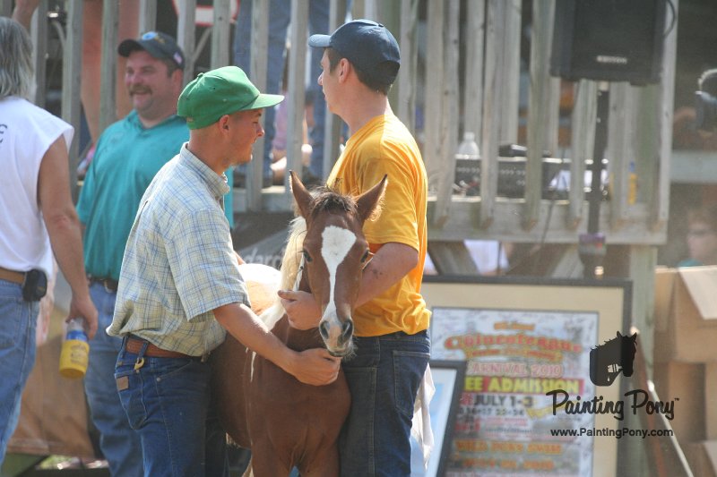 ponypenning_072810_456.JPG