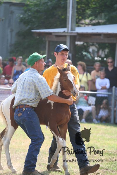 ponypenning_072810_457.JPG