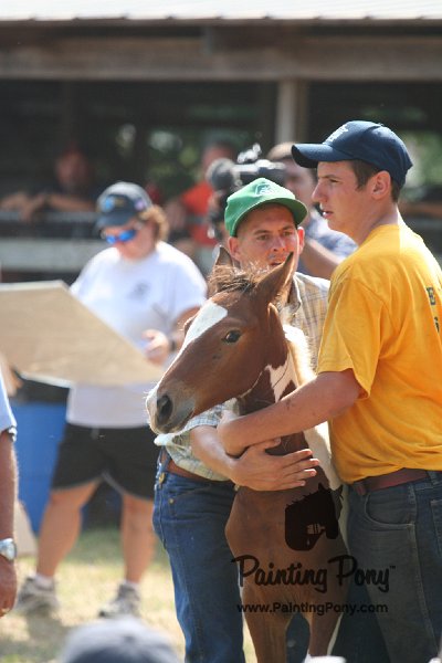 ponypenning_072810_458.JPG