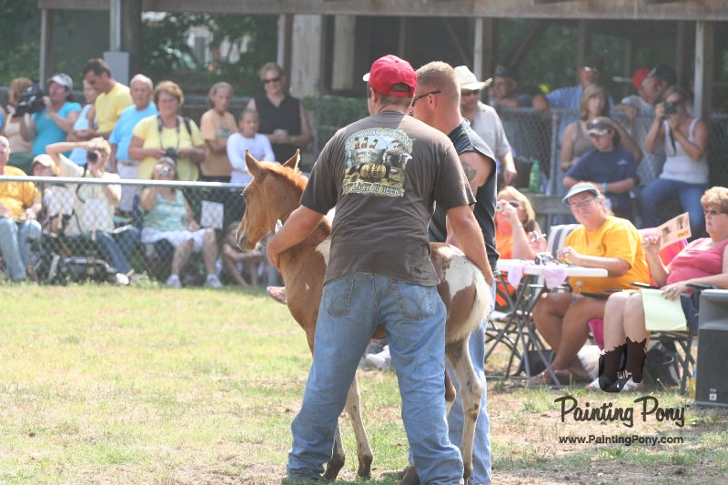 ponypenning_072810_460.JPG