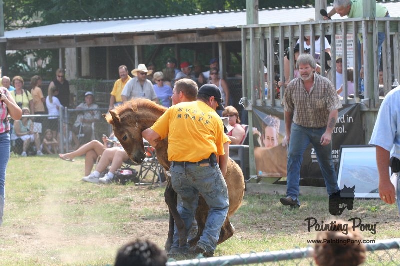 ponypenning_072810_465.JPG