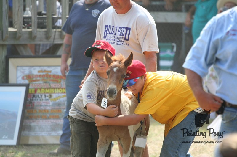 ponypenning_072810_475.JPG