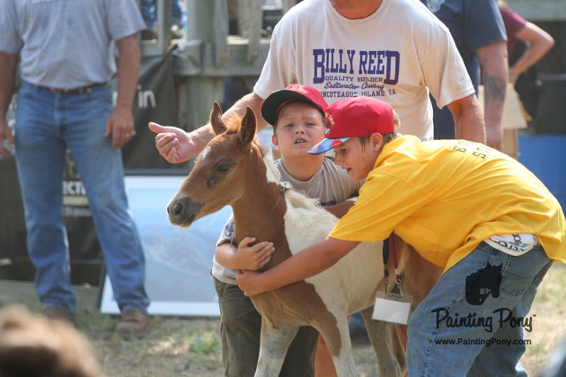 ponypenning_072810_476.JPG