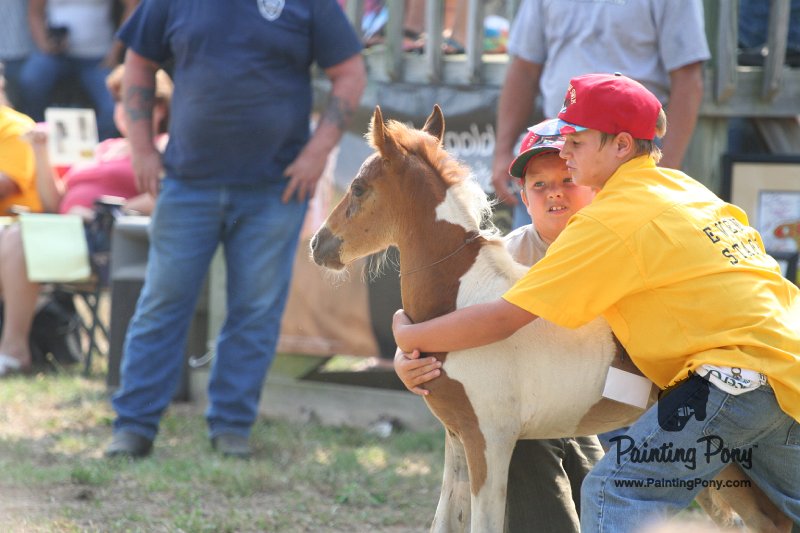 ponypenning_072810_478.JPG
