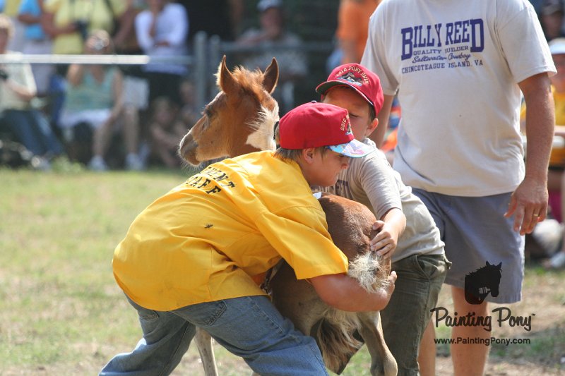 ponypenning_072810_479.JPG