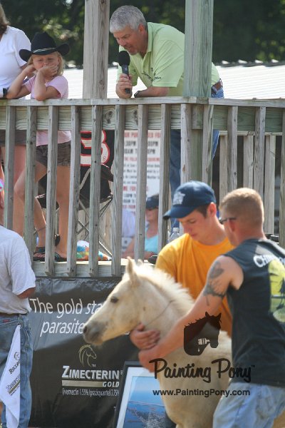 ponypenning_072810_480.JPG