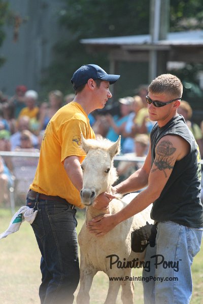 ponypenning_072810_483.JPG