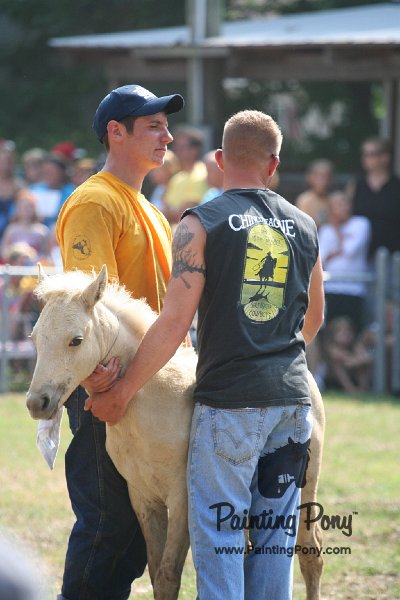 ponypenning_072810_484.JPG