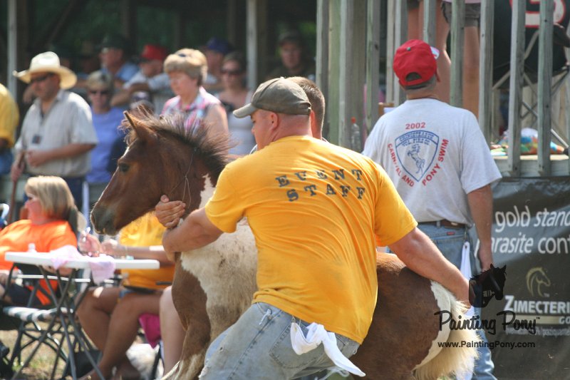 ponypenning_072810_485.JPG