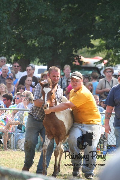 ponypenning_072810_487.JPG