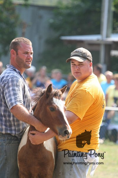 ponypenning_072810_489.JPG