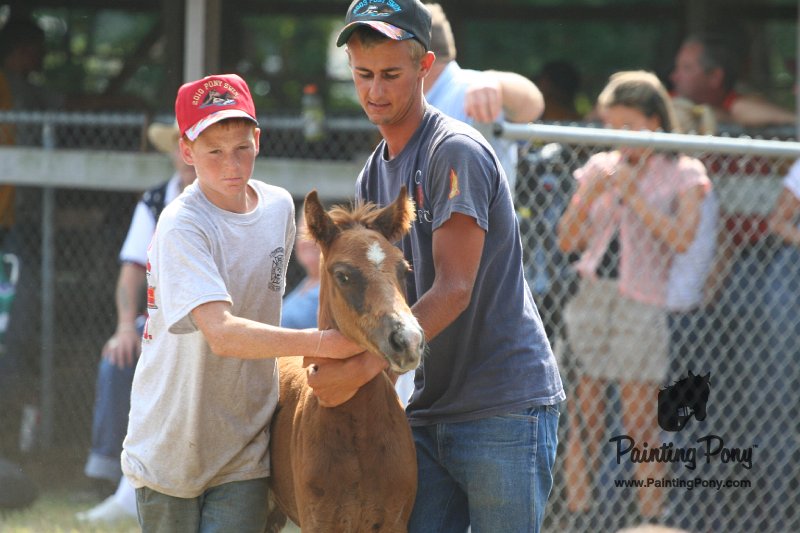 ponypenning_072810_494.JPG