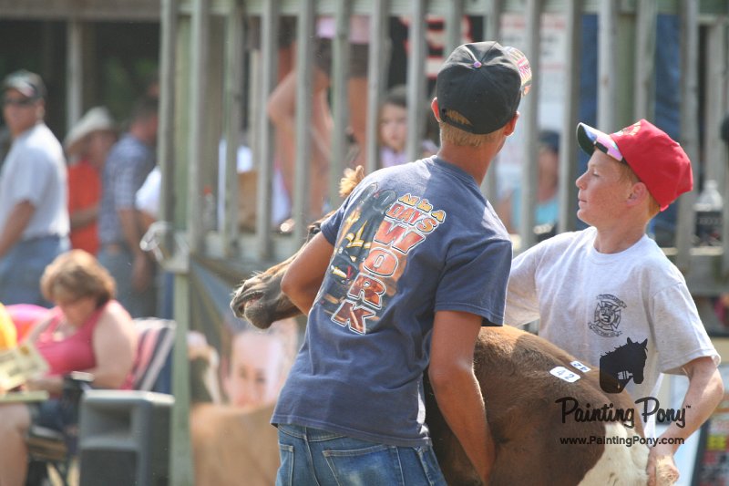 ponypenning_072810_496.JPG