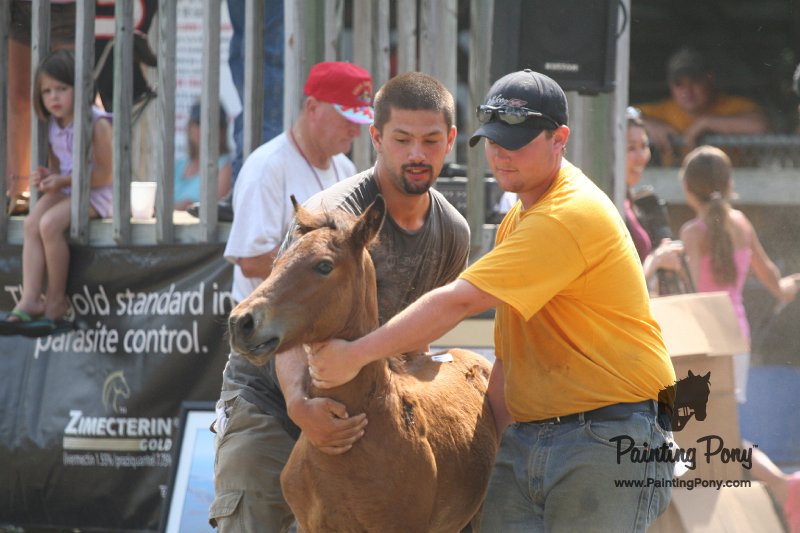 ponypenning_072810_498.JPG