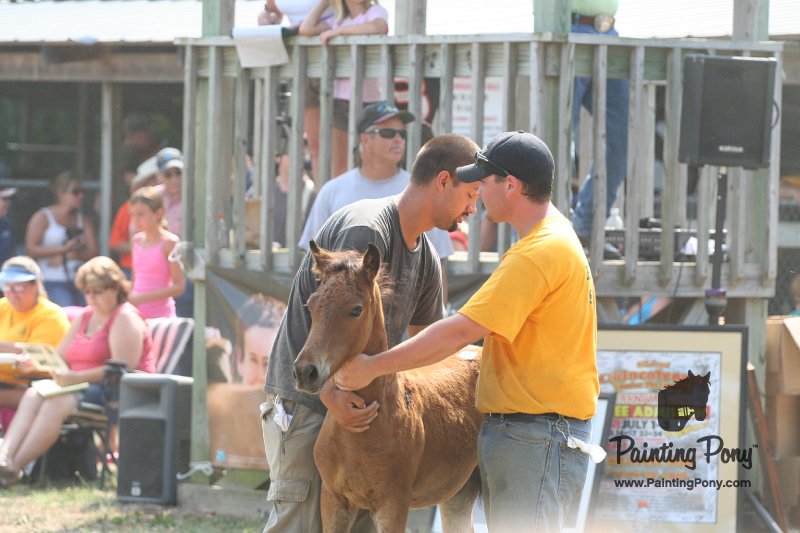 ponypenning_072810_500.JPG