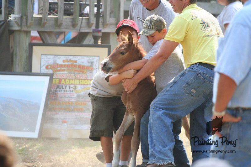 ponypenning_072810_502.JPG