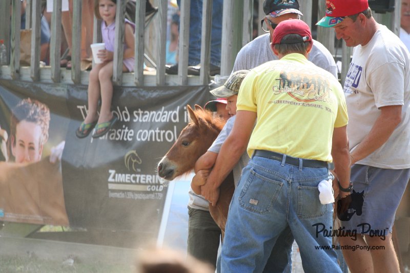 ponypenning_072810_503.JPG