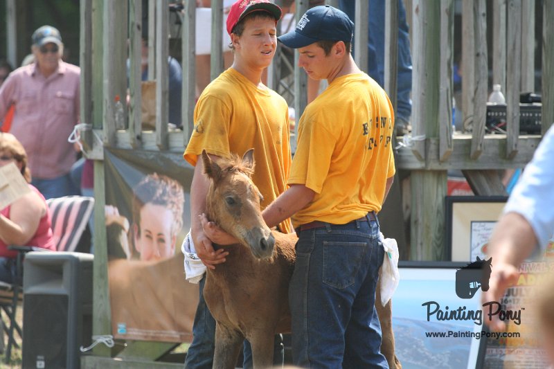 ponypenning_072810_508.JPG