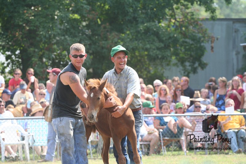 ponypenning_072810_515.JPG