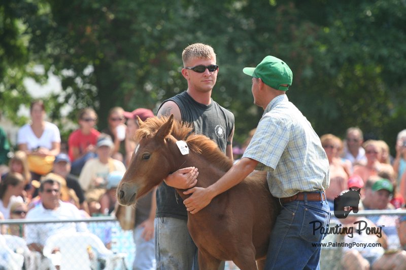 ponypenning_072810_516.JPG