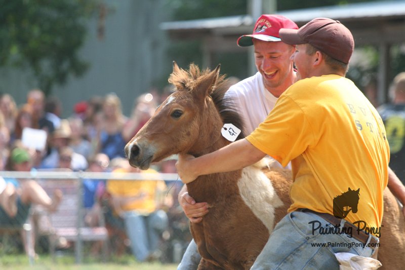ponypenning_072810_517.JPG