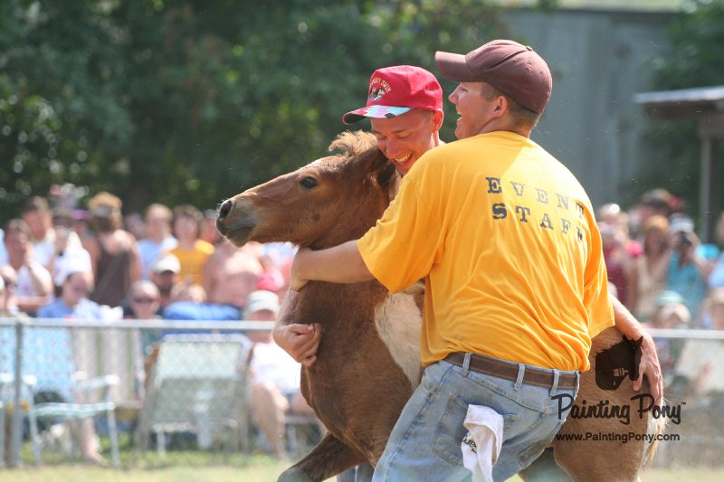 ponypenning_072810_518.JPG