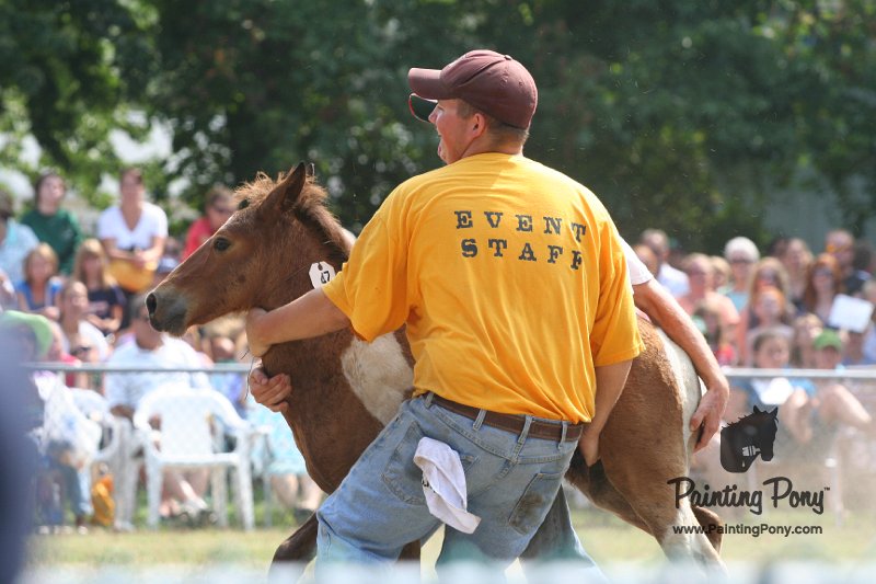 ponypenning_072810_519.JPG