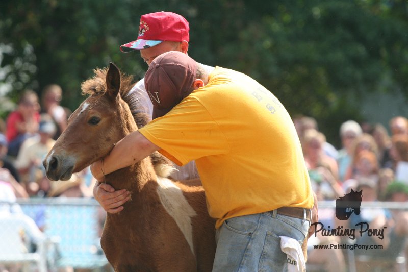 ponypenning_072810_522.JPG
