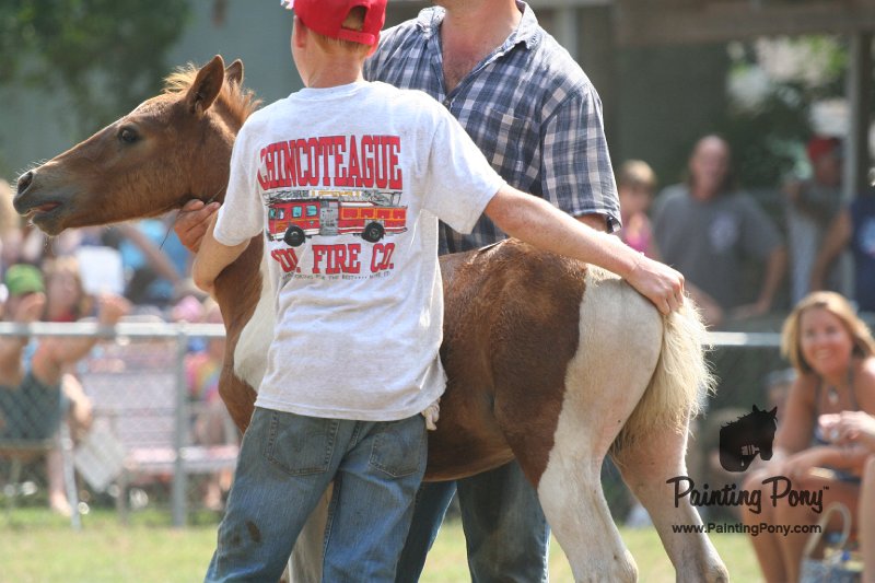 ponypenning_072810_523.JPG