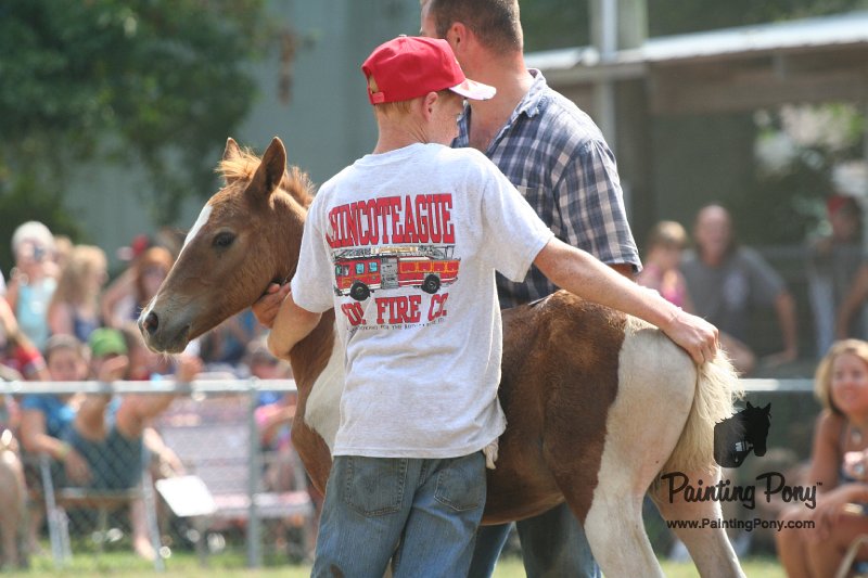 ponypenning_072810_524.JPG