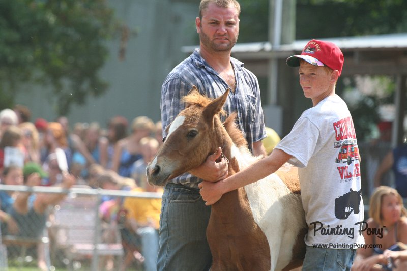 ponypenning_072810_525.JPG