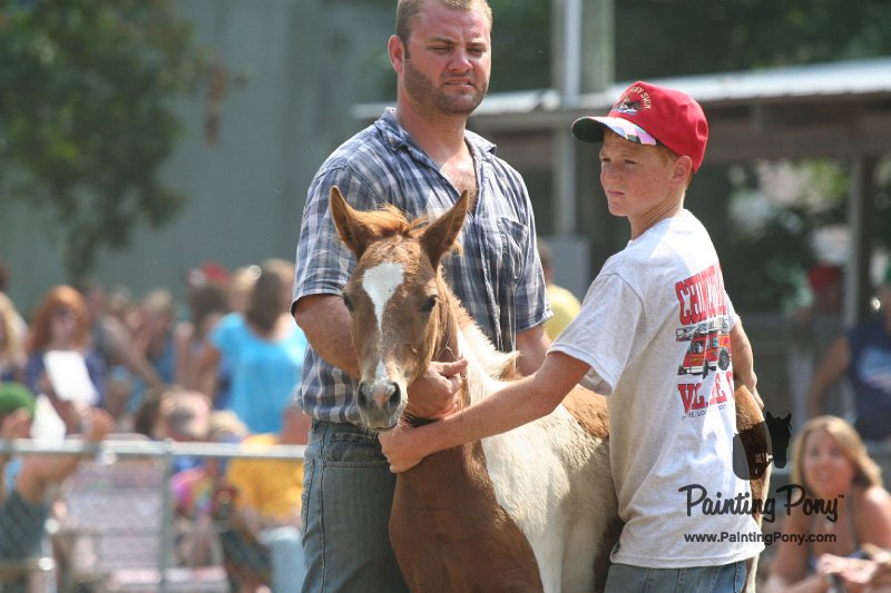 ponypenning_072810_526.JPG