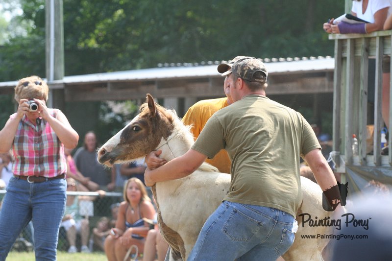 ponypenning_072810_527.JPG