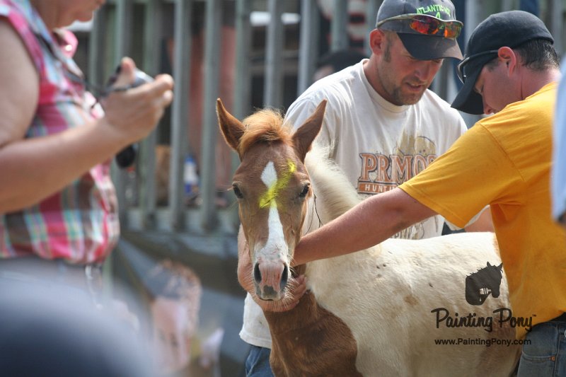 ponypenning_072810_531.JPG