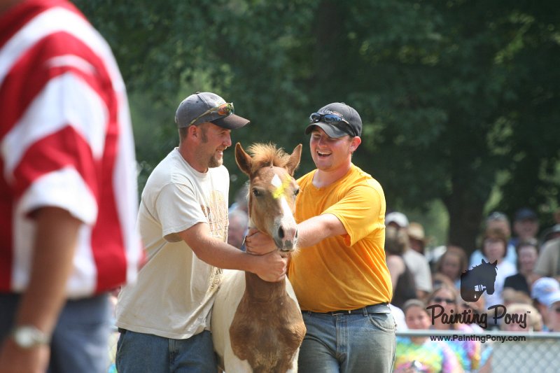 ponypenning_072810_533.JPG