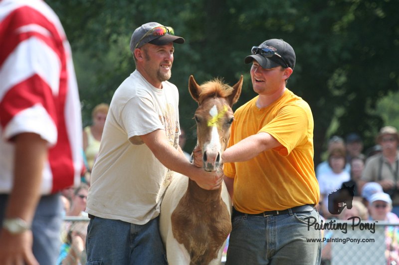 ponypenning_072810_534.JPG