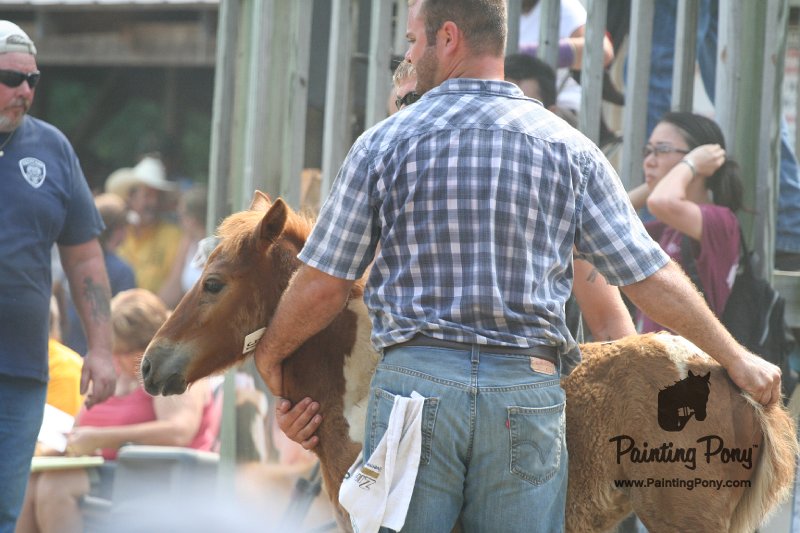ponypenning_072810_540.JPG