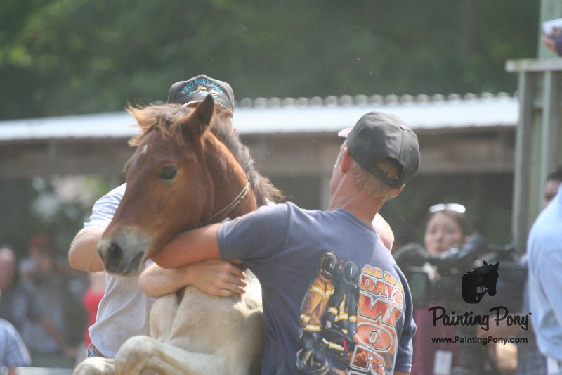 ponypenning_072810_550.JPG