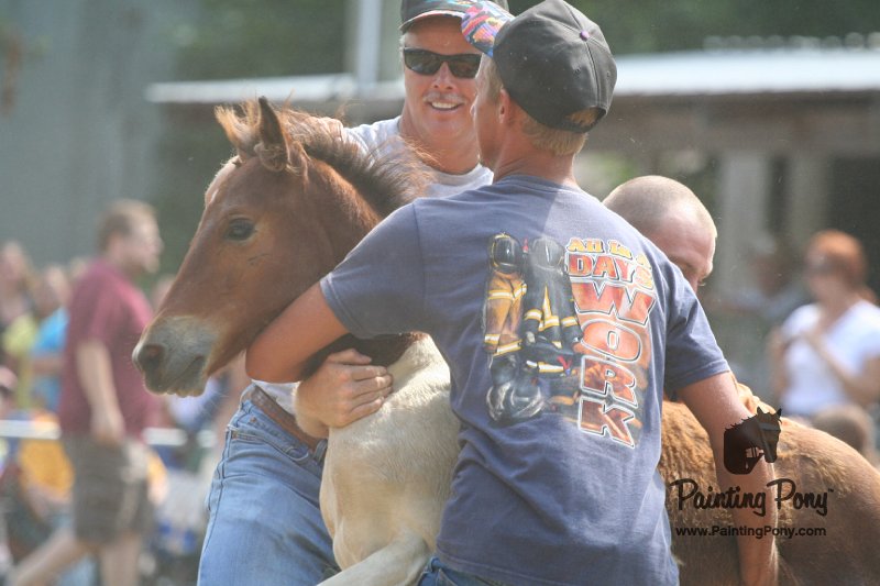 ponypenning_072810_551.JPG