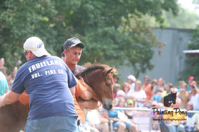 ponypenning_072810_553.JPG
