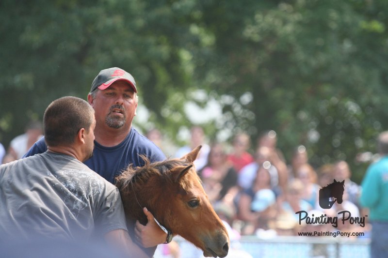 ponypenning_072810_559.JPG