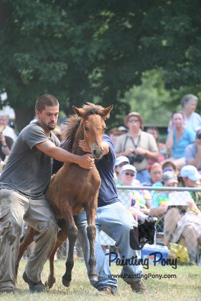 ponypenning_072810_561.JPG