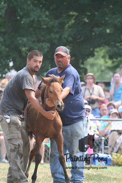ponypenning_072810_562.JPG