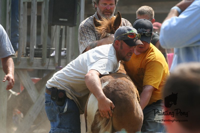 ponypenning_072810_564.JPG