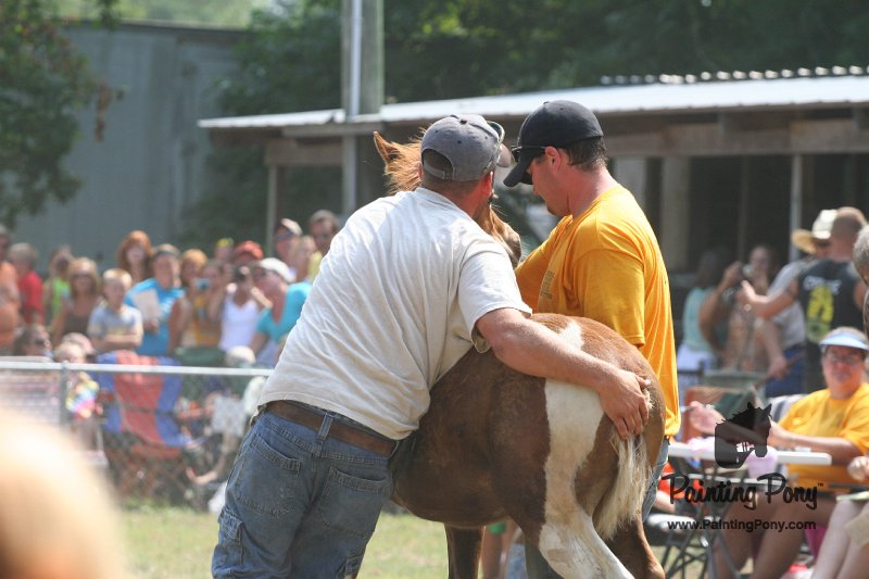 ponypenning_072810_565.JPG