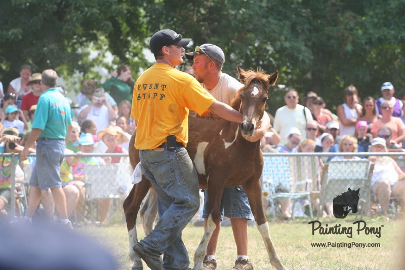 ponypenning_072810_567.JPG