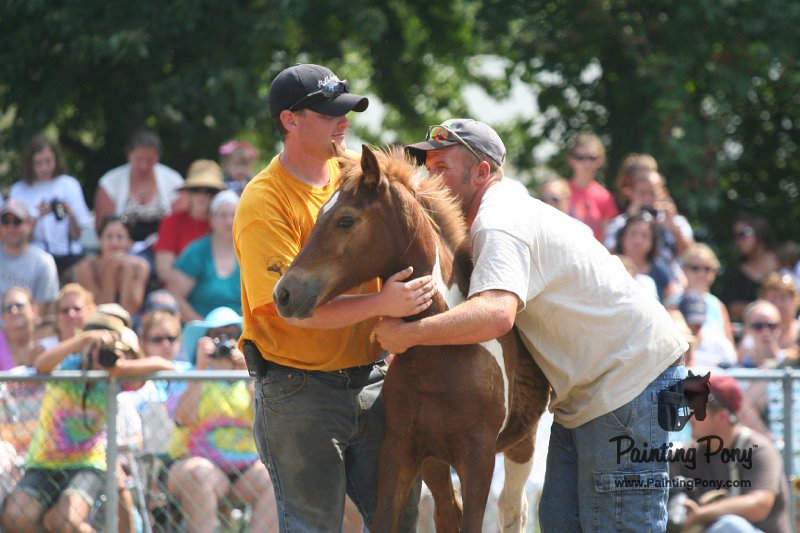 ponypenning_072810_569.JPG