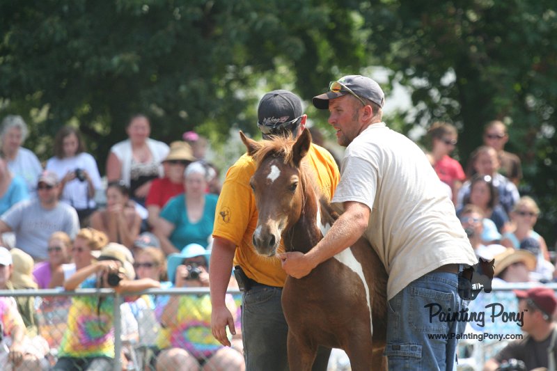 ponypenning_072810_570.JPG