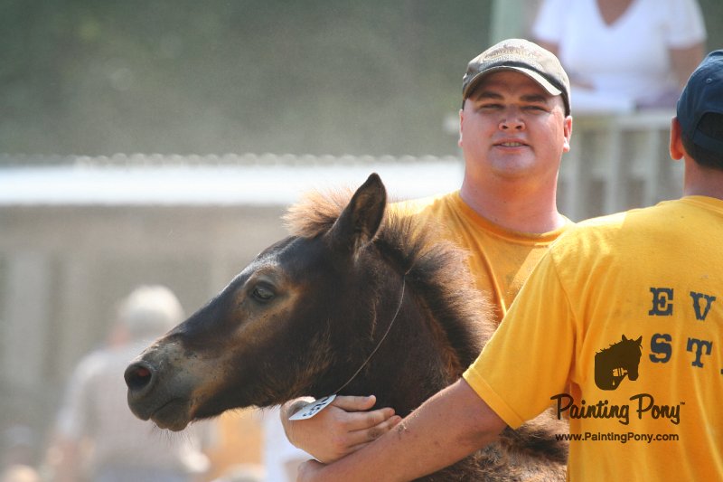ponypenning_072810_573.JPG