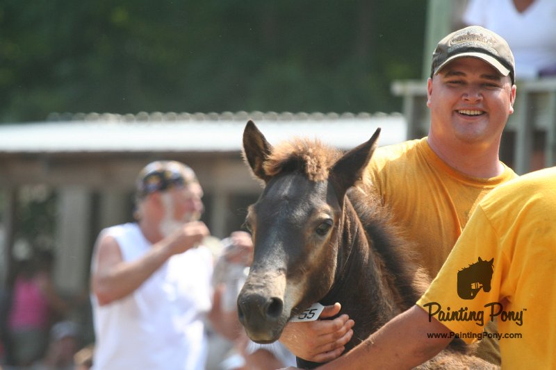 ponypenning_072810_574.JPG